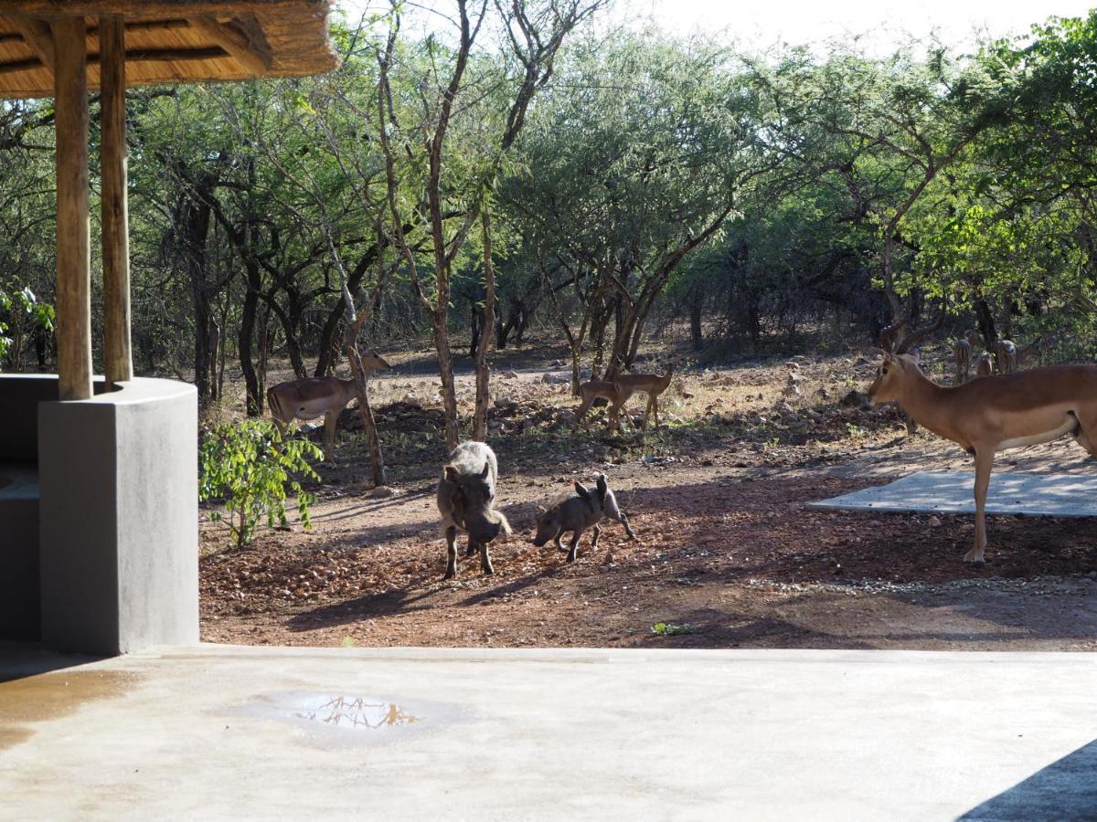 Pata Pata House Villa Marloth Park Exterior foto