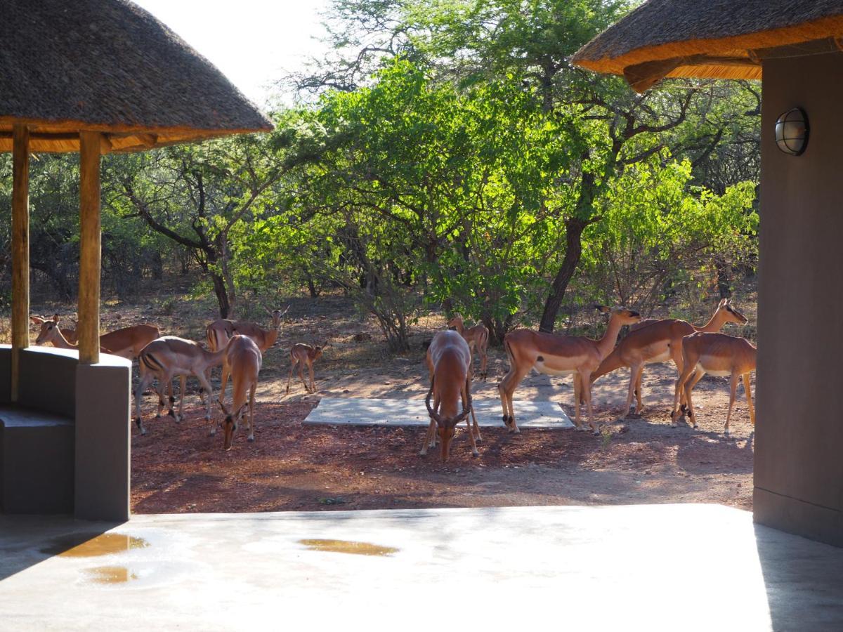 Pata Pata House Villa Marloth Park Exterior foto