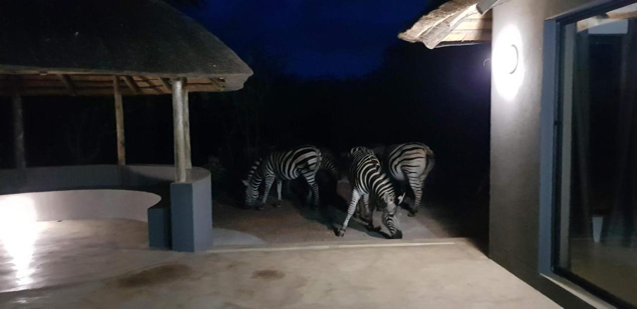 Pata Pata House Villa Marloth Park Exterior foto
